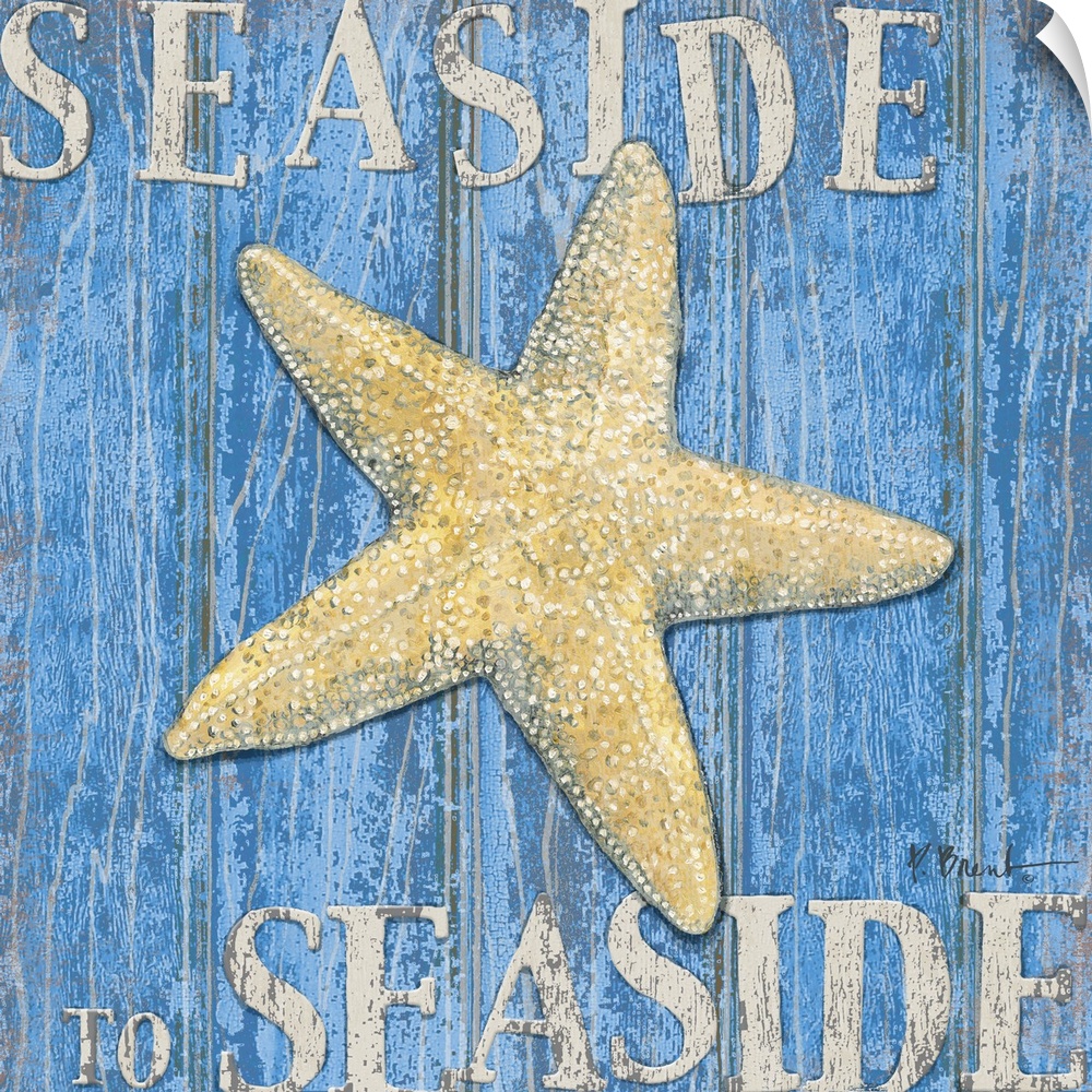 Square painting of a starfish on blue wood panels with the text Seaside to Seaside.