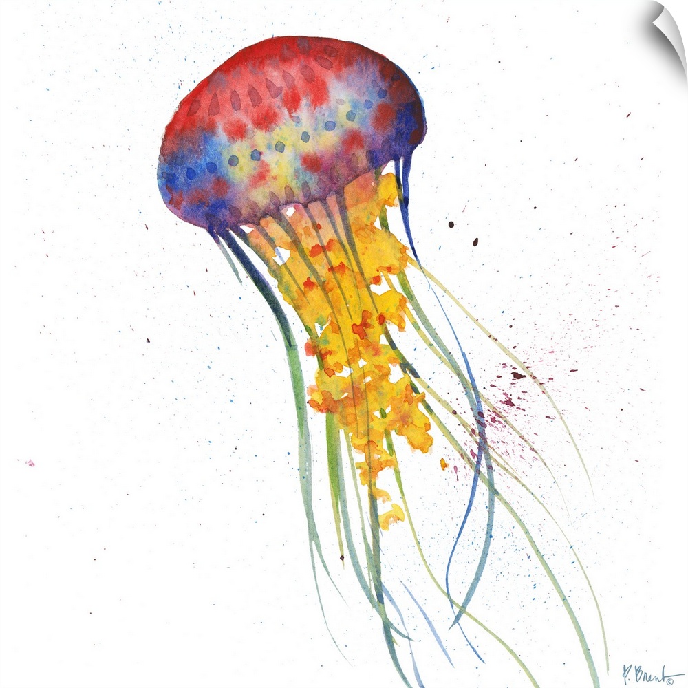 Watercolor painting of a jellyfish with long tentacles.