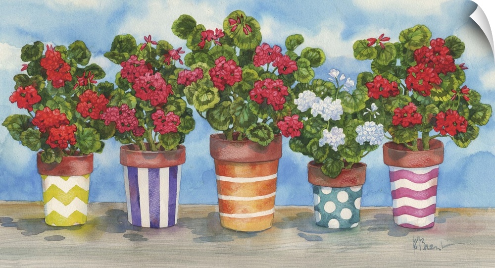 Five geraniums in a row in decorated pots.