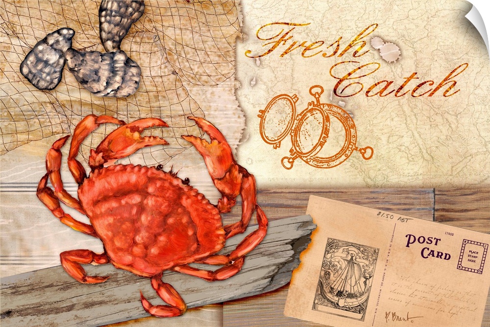 A collection of marine elements on a faux driftwood background, including a crab, shells, and the words "Fresh Catch."
