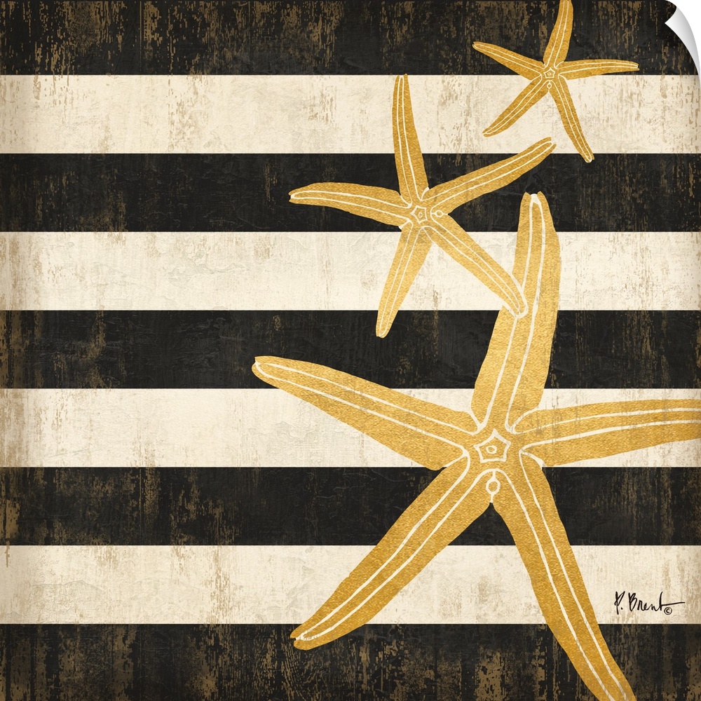 Square decor with metallic gold starfish on a black and white striped background.