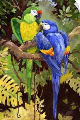 Green and Blue Tropical Macaw