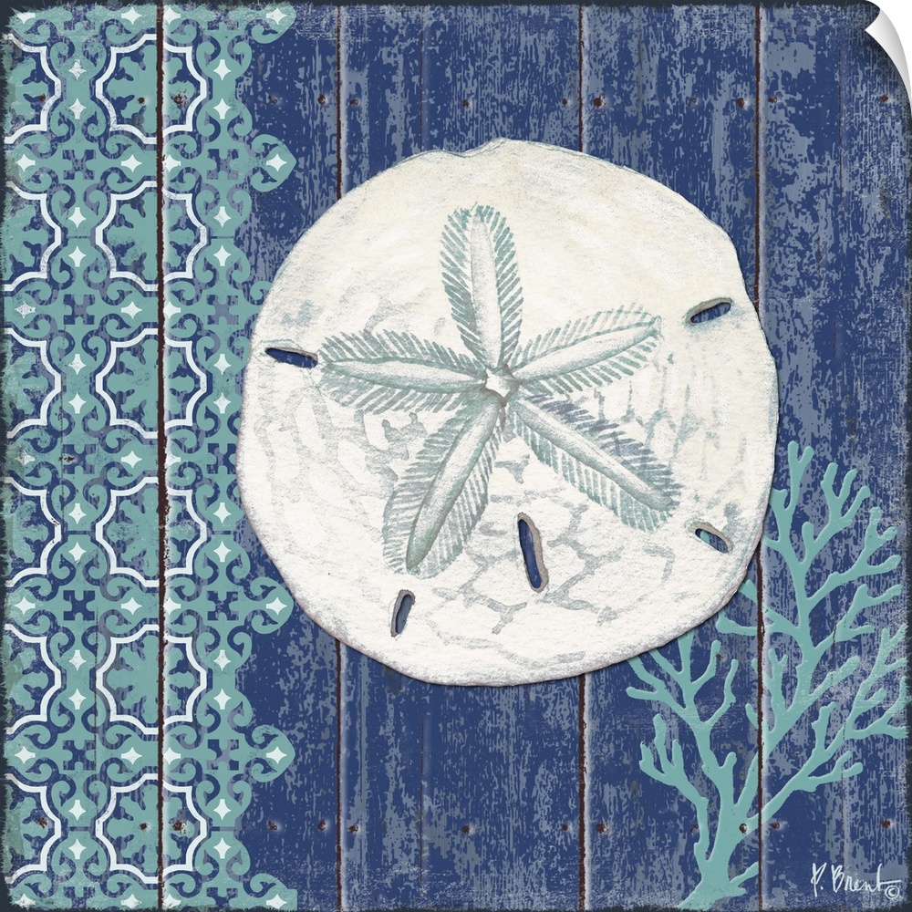 Contemporary decorative artwork of a sand dollar in teal tones on a textured panel background.