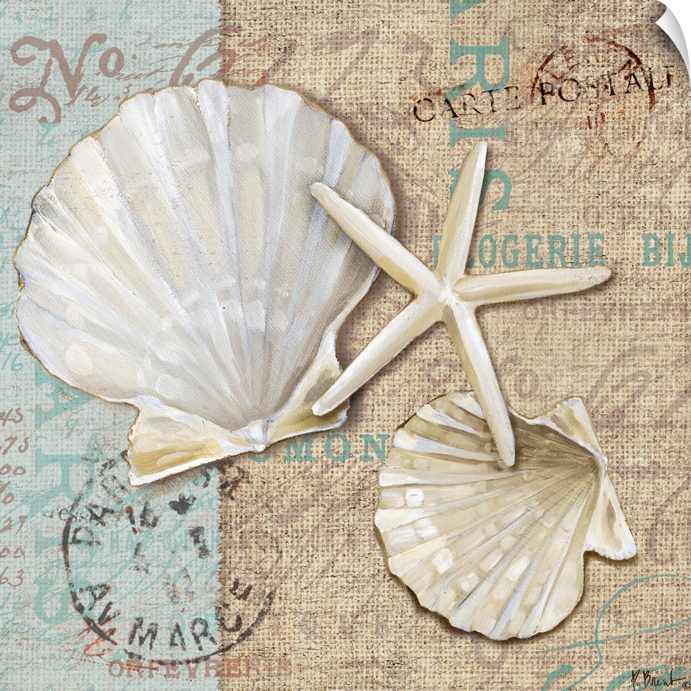 Decorative artwork of a pair of scallop shells and a starfish on a fabric-textured background with faded vintage text.