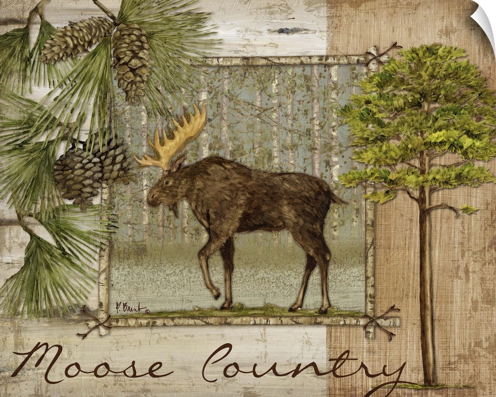 Decorative artwork of a moose in a frame, with pine needles and pinecones, trees, and the words Moose Country.