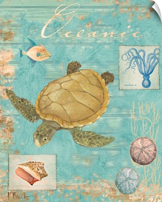 Oceanic Collage Turtle