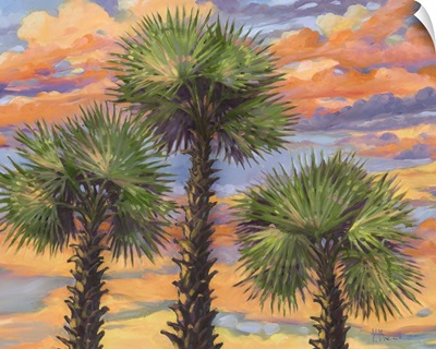 Palm Trio Sunset