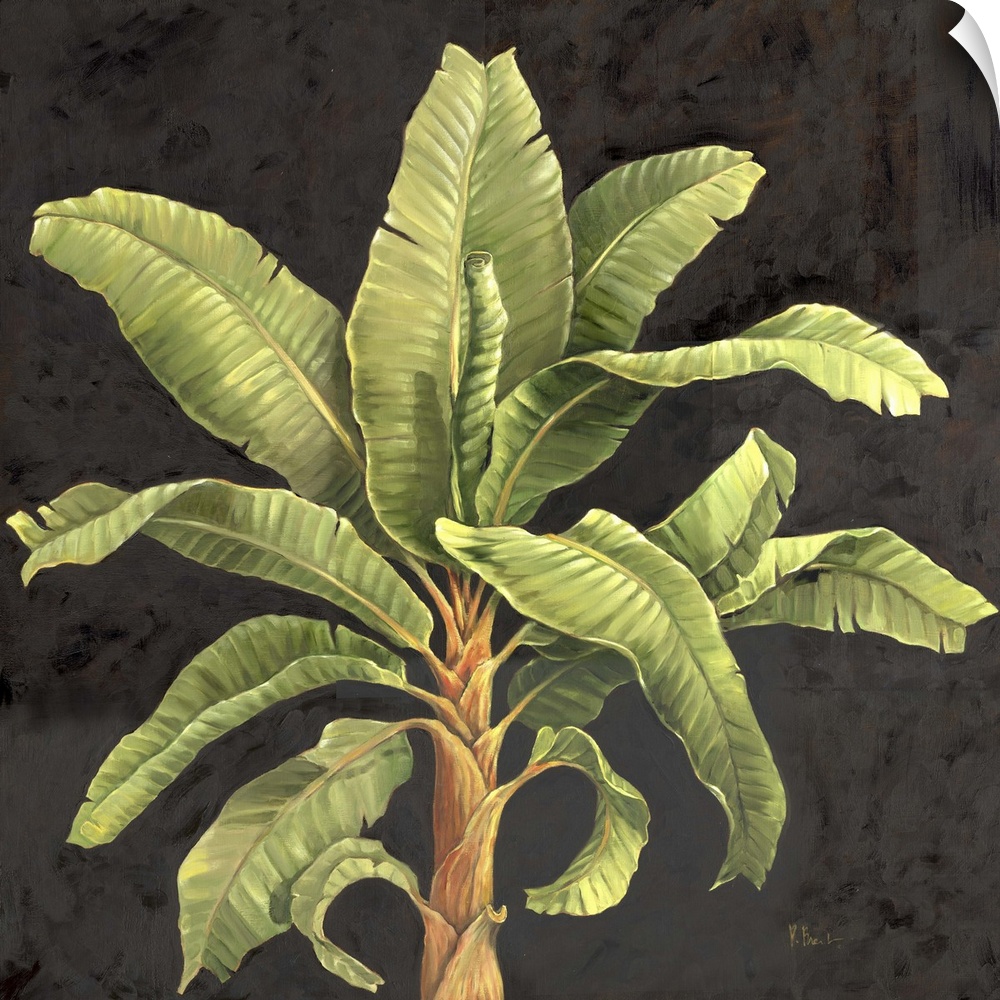 Painting of the top of a palm tree with broad fronds.
