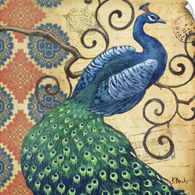 Peacock's Splendor I