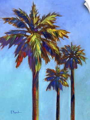 Santa Rita Palm I