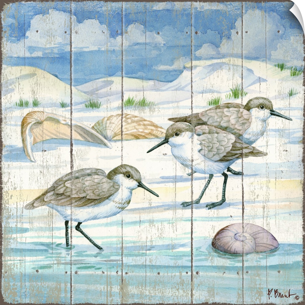 Square painting of sandpipers on the shore with shells all around them and dunes in the background.