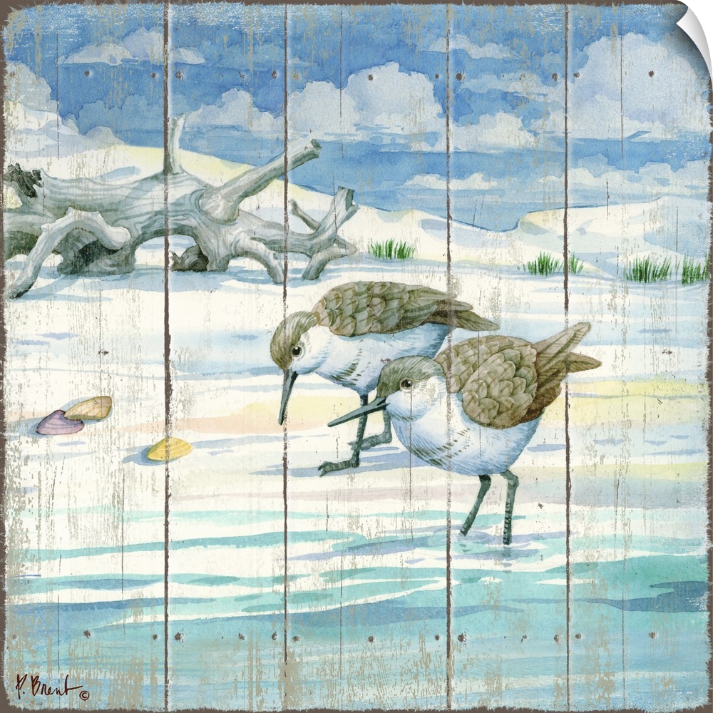 Square painting on a faux wood background of two sandpipers grazing on the shore with driftwood in the background.