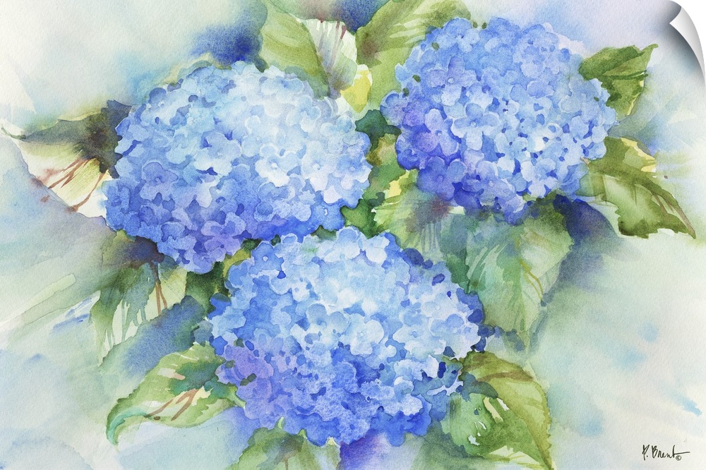 Large watercolor painting of blue hydrangeas.