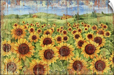 Sunflower Field Distressed