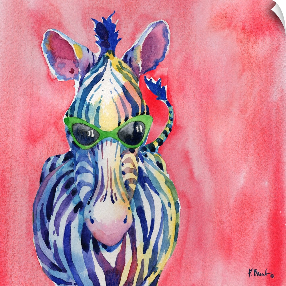 Square watercolor painting of a zebra wearing green sunglasses on a pink background.