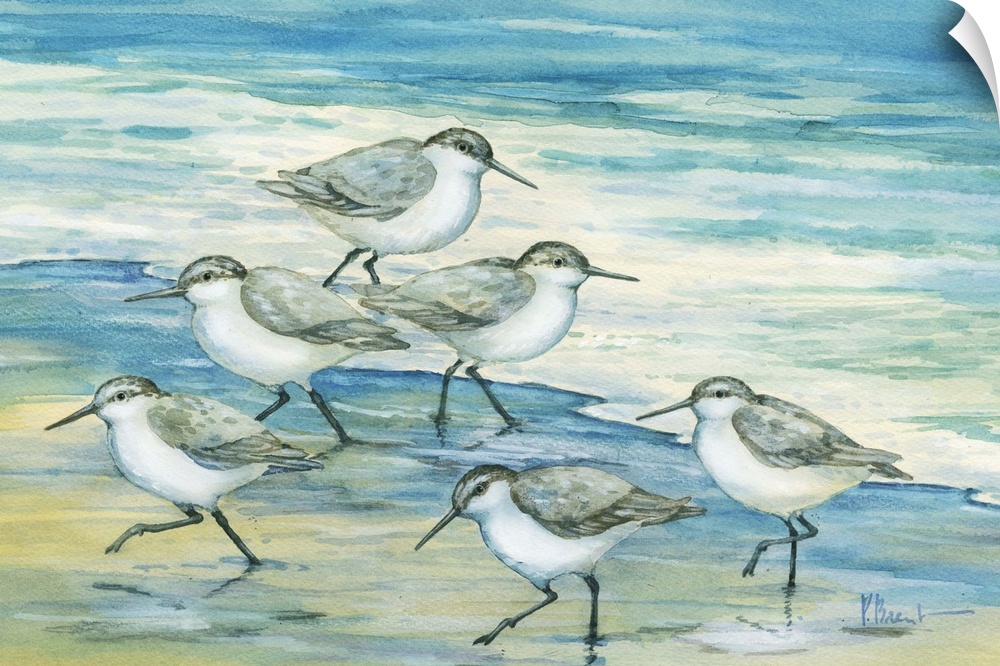 Contemporary artwork of a flock of sandpiper birds on the beach.