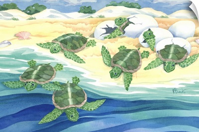 Turtle Nestlings