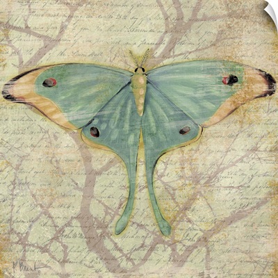 Vintage Butterflies III