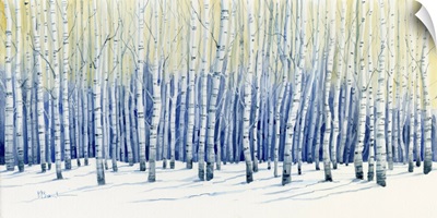White Forest