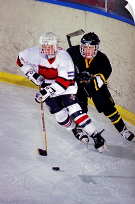 Ice hockey players in action
