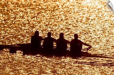 Silhouette of men's fours rowing team in action