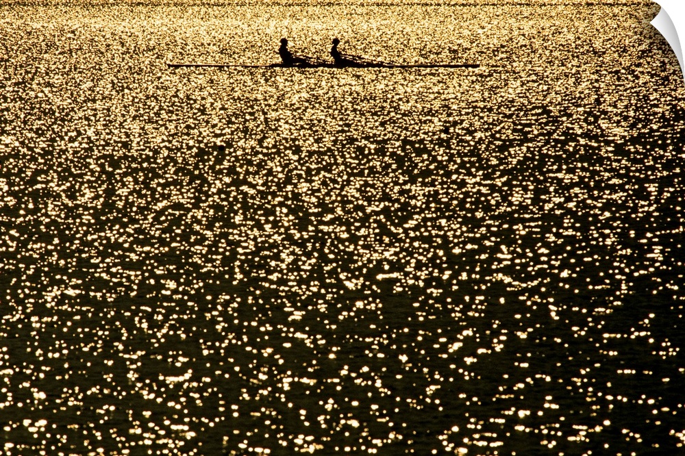 Silhouette of men's pairs rowing team in action