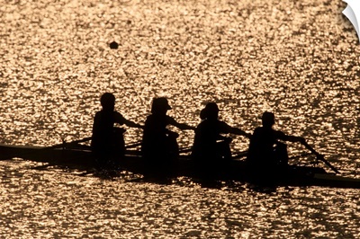 Silhouette of women's fours rowing team