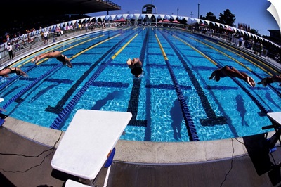 Women diving into the pool to start a swimming race.