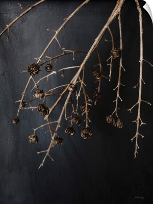 Branches In Noir II