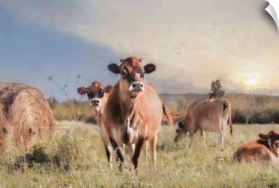 Cow Photobomb