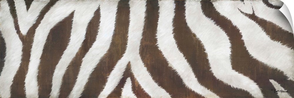 A large horizontal close up of the body of a zebra in white and brown.