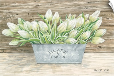 Flowers and Garden Tulips