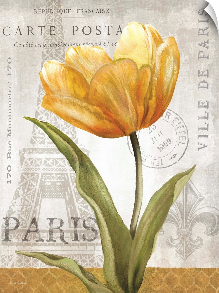Golden yellow flower against a vintage Parisian themed background.