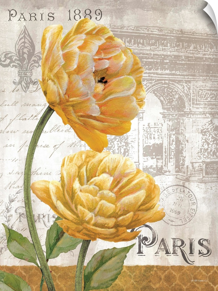 Golden yellow flower against a vintage Parisian themed background.