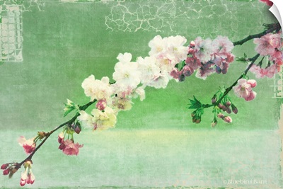 Green and Pink Arching Blossom