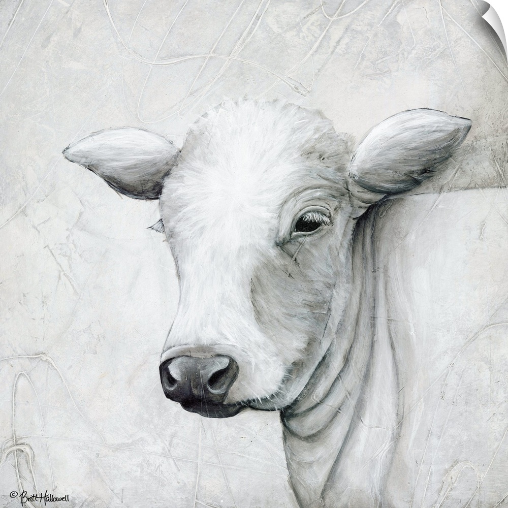 Portrait of a white cow with long ears.
