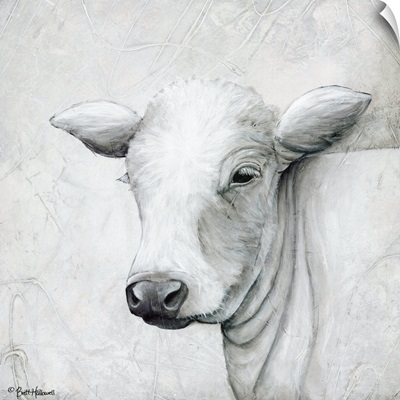 January Cow II