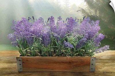 Lavender Planter