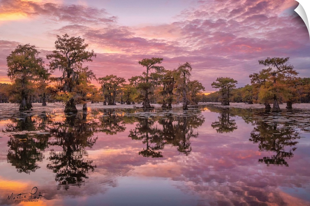 Magnificent Sunset in the Swamps
