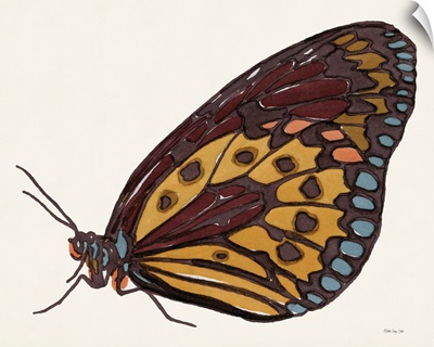 Papillon 5