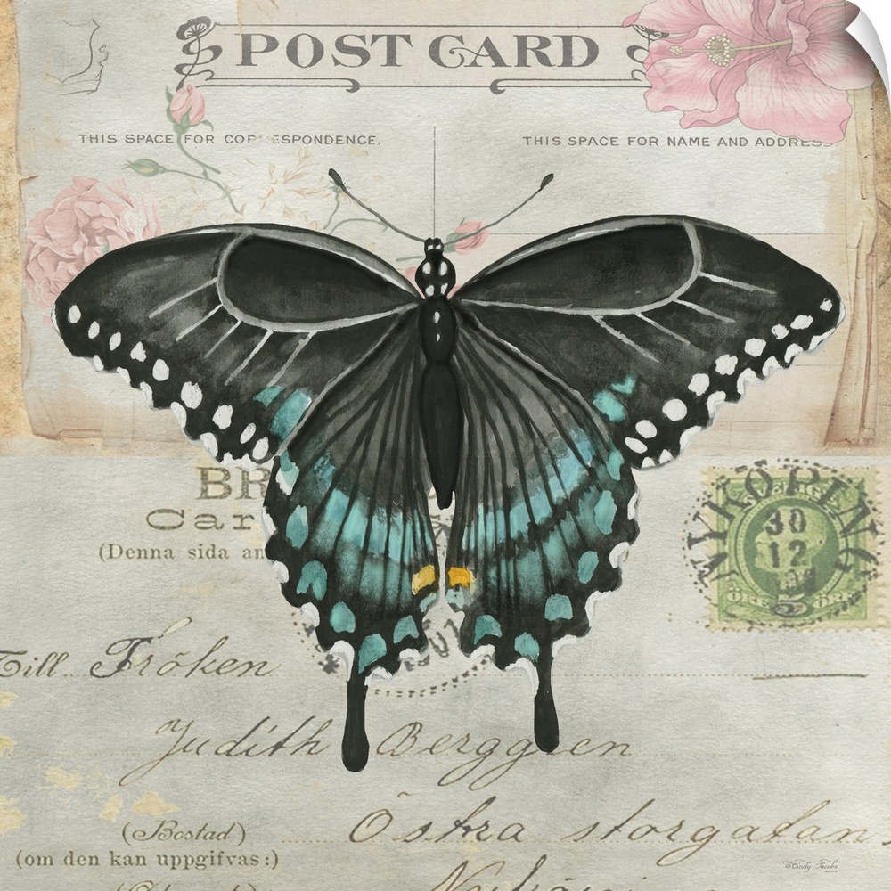 Postcard Butterfly III