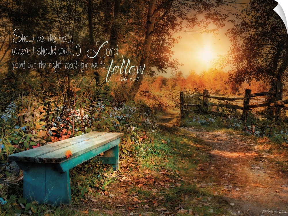 A small bench in the woods near a fence at sunset, with a bible verse.