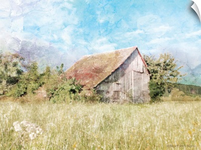 Spring Green Meadow by the Old Barn