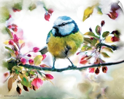 Spring Yellow Bird on a Bough