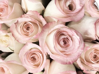 Top View - Pink Roses