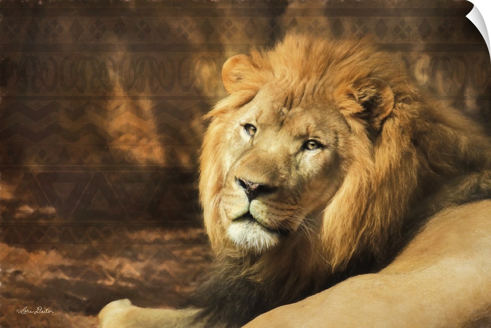 Photograph of a lion against a tribal patterned background.