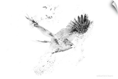 Wingspread Minimalist Hawk