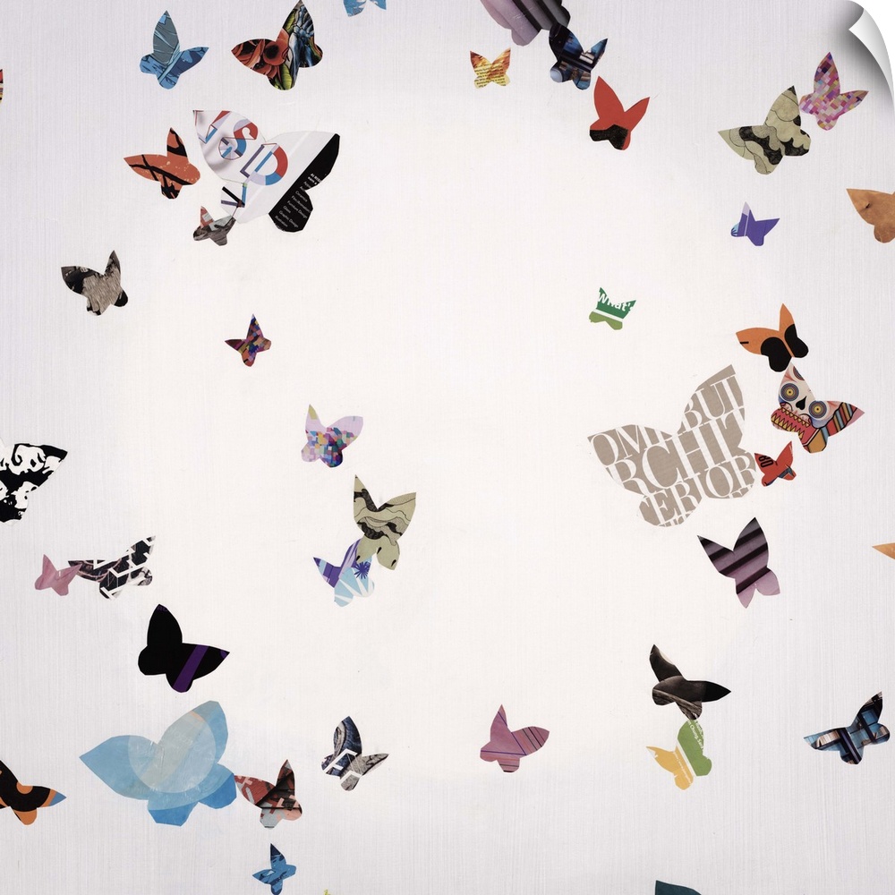 A flurry of butterflies in various colors and patterns.