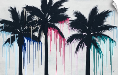 Color Splash Palms
