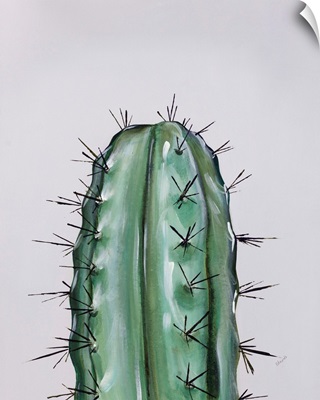 Colorful Cactus I